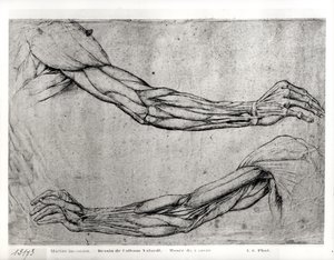 Studium zbraní od Leonardo da Vinci